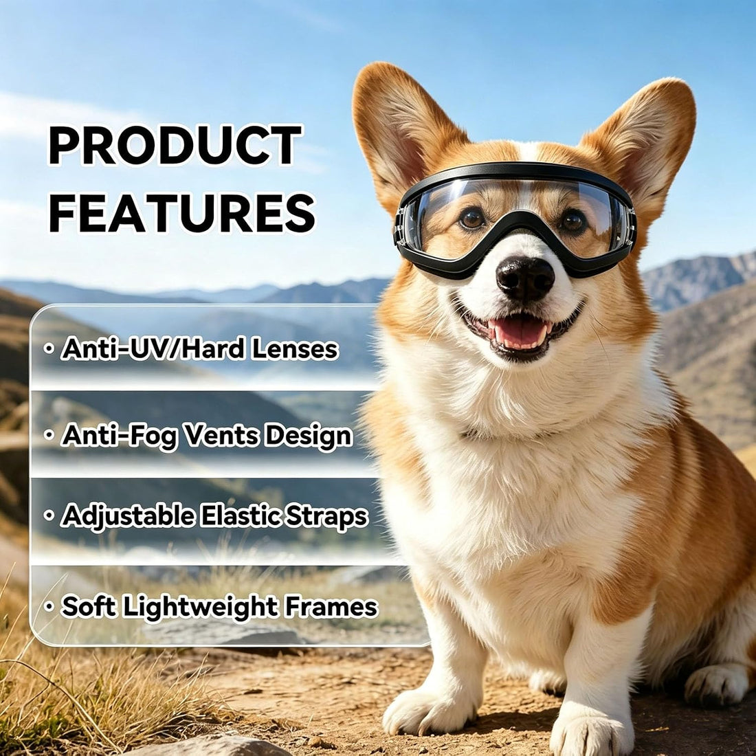 Dog Goggles and Pet Helmet Set