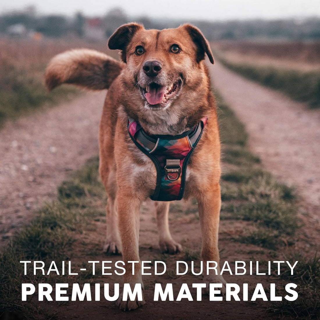 Embark Adventure No Pull Dog Harness
