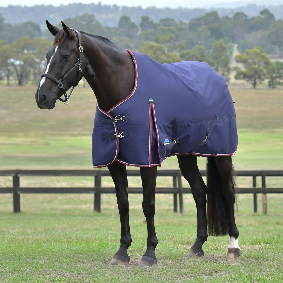 WeatherBeeta ComFiTec Essential Turnout 220g, Rodeo Print, 78"