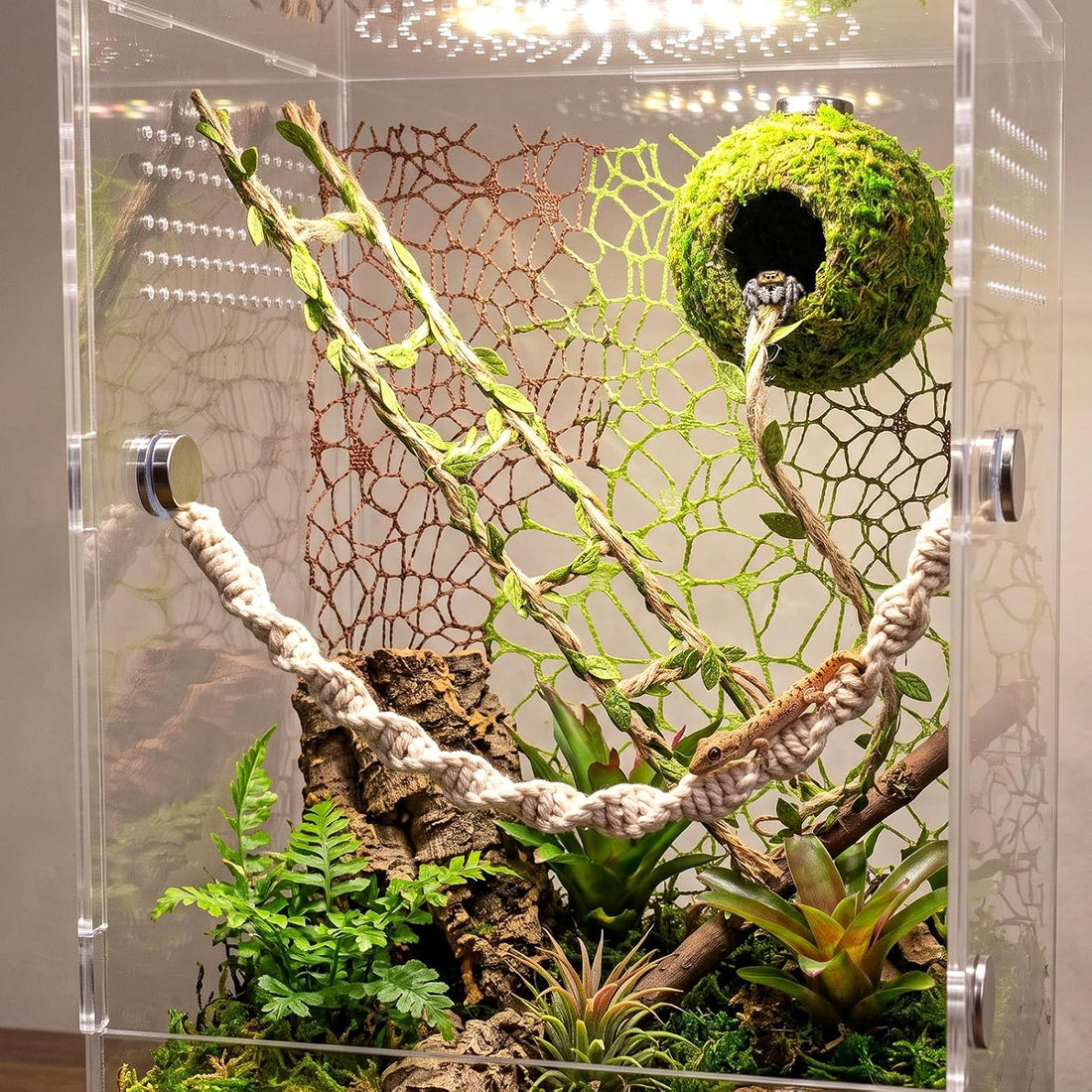 Magnetic Jumping Spider Accessories-Moss Hideout with Rope & Bridge