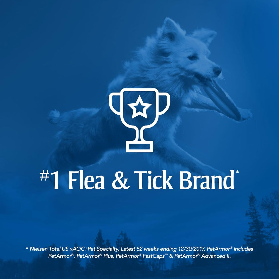 PetArmor for Dogs, Flea and Tick Treatment for Large Dogs