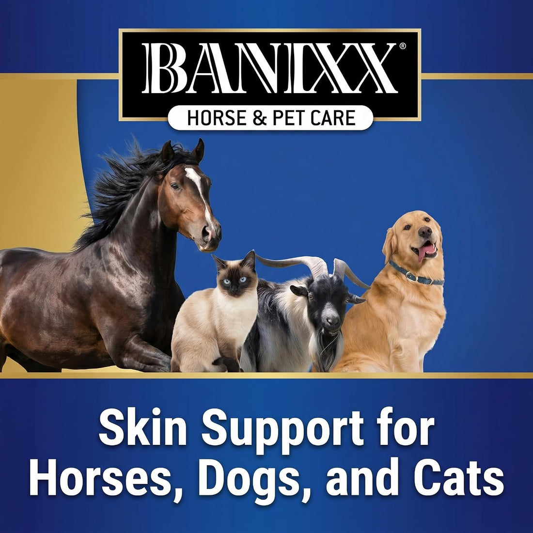 BANIXX Horse and Pet Care Spray for Horses, Dogs and Cats