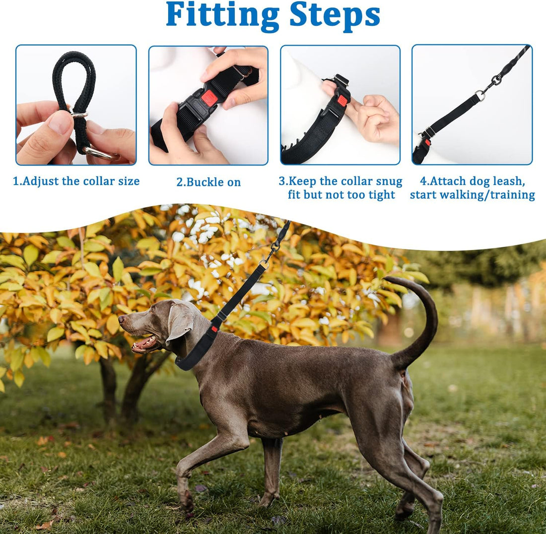 Mayerzon Martingale Dog Collar No Pull, Black, M