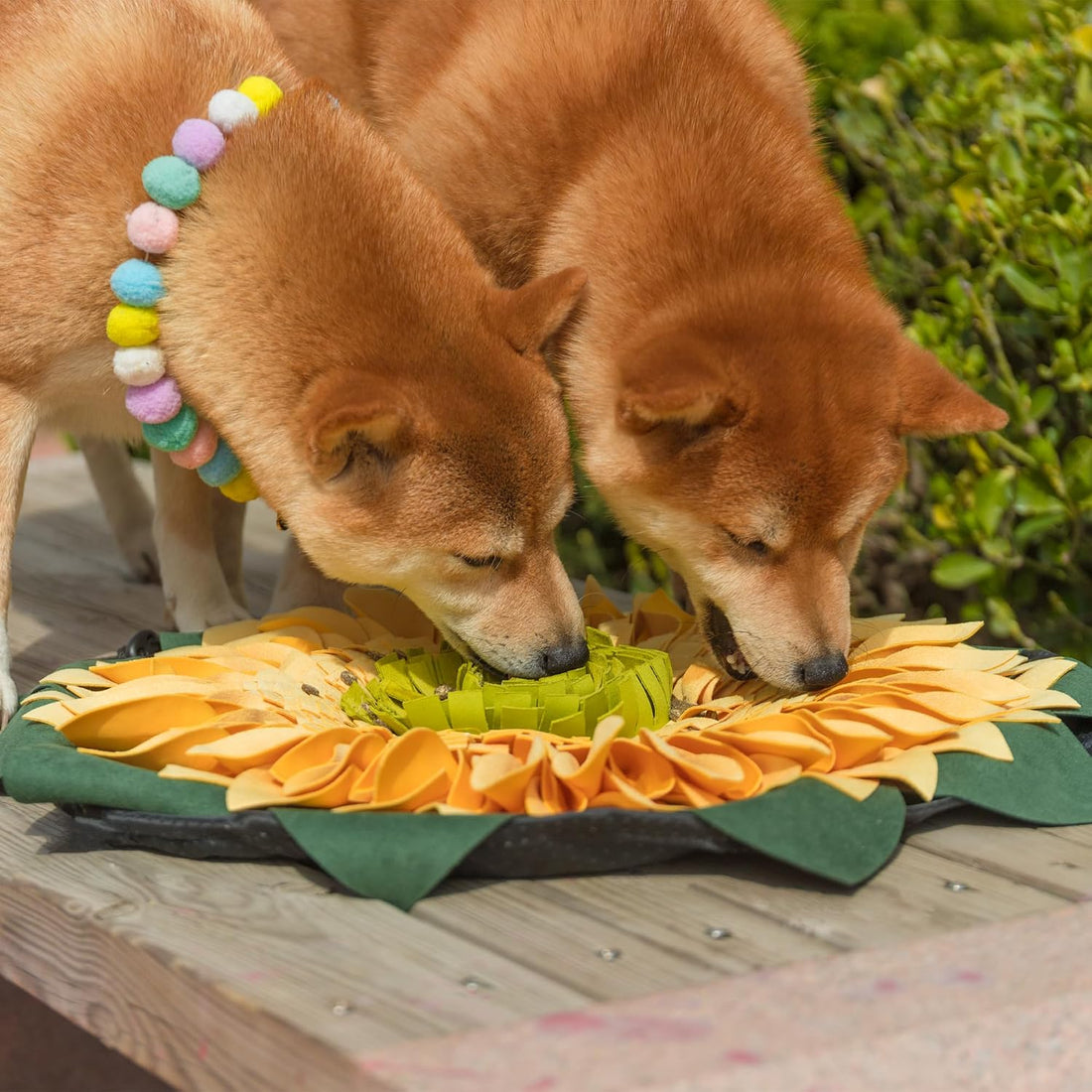 Snuffle Mat for Dogs Sunflower