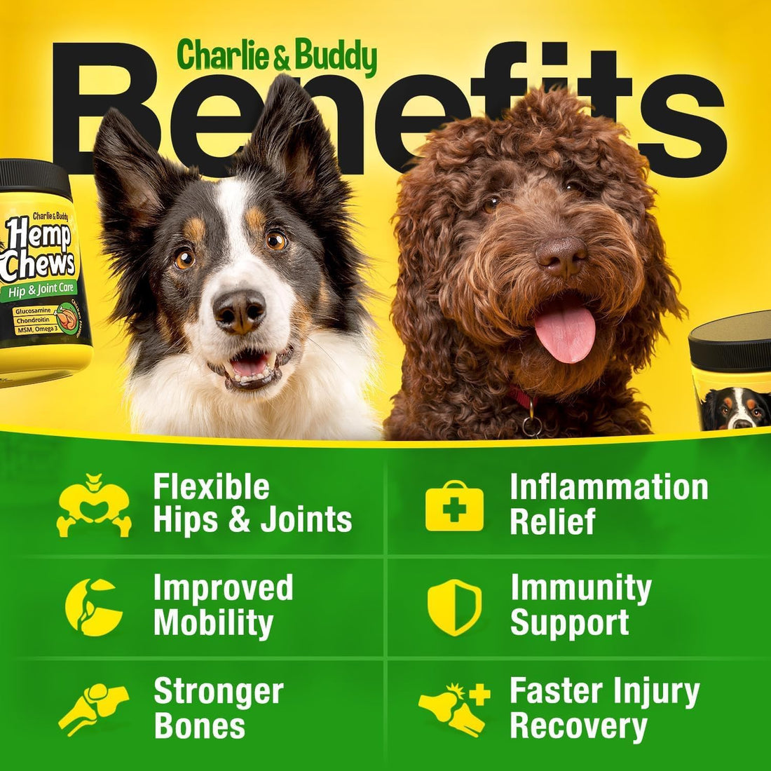 Glucosamine Chondroitin for Dogs - Hip Joint Supplement