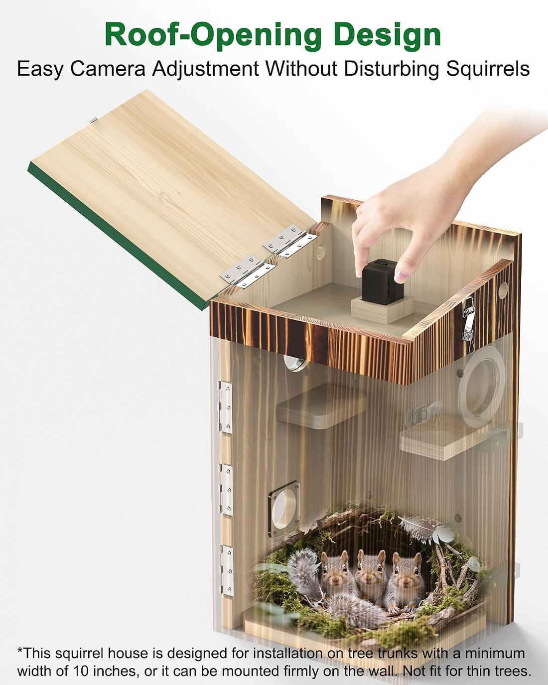 KinetCam Smart Squirrel Box with Camera,Separate Camera