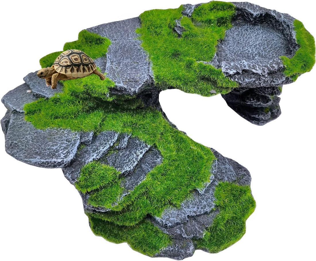 M2cbridge Reptile Hide Resting Step Ledge Cave Hideout Turtle Basking