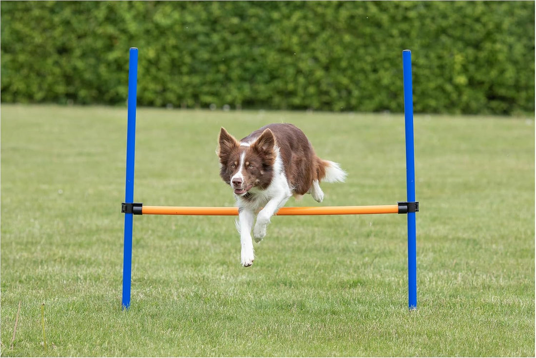 TRIXIE Dog Agility Hurdle with Height Adjustable Crossbar