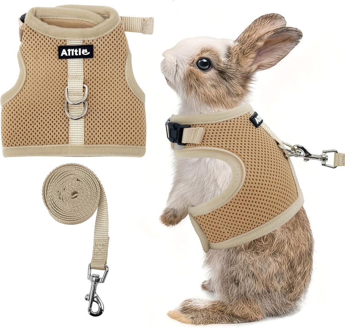 AIITLE Adjustable Rabbit and Leash Set - Lightweight & Portable