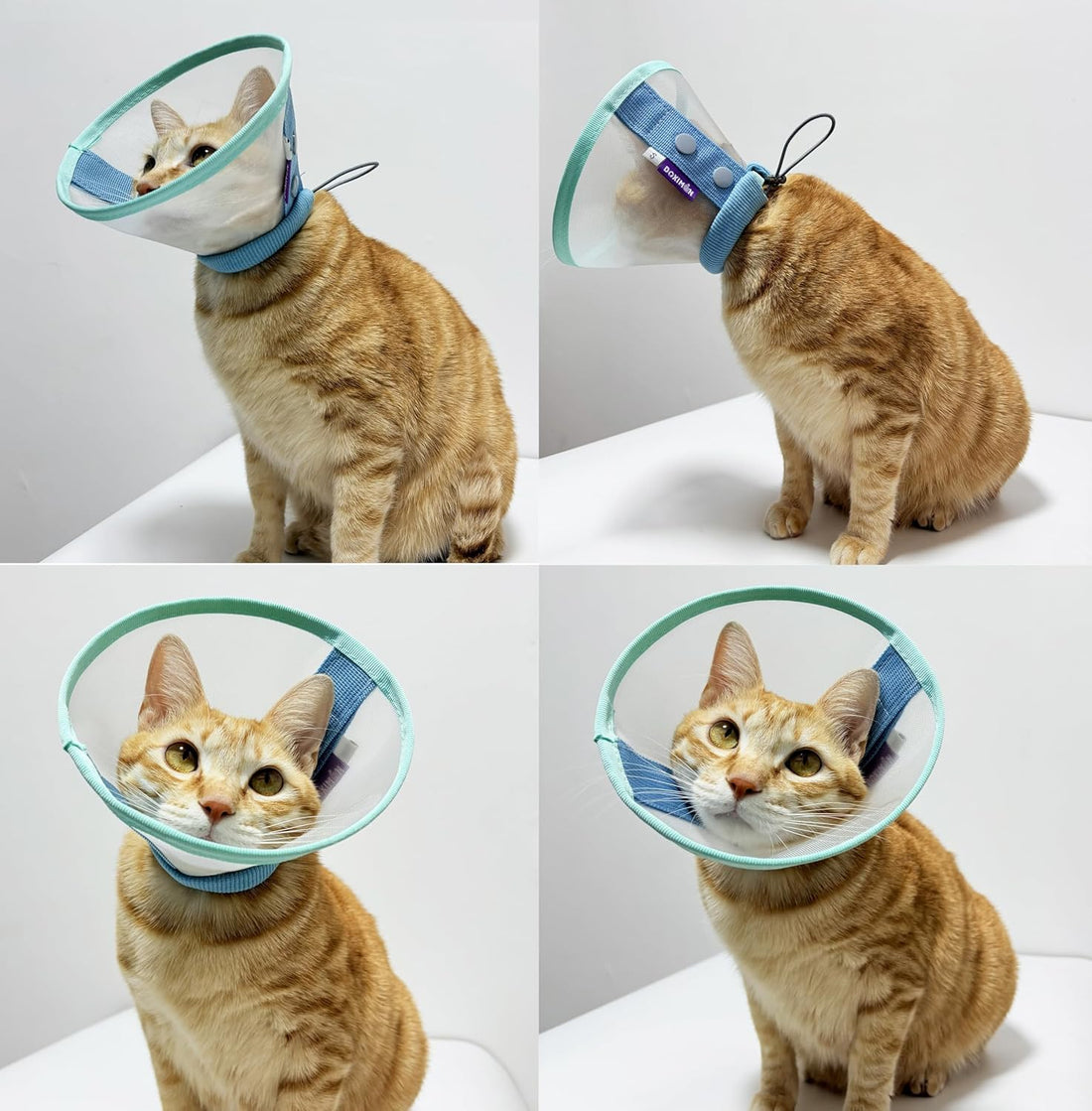 Cat Cone Collar Soft, Mesh Recovery E Collar for 6-12lb Cats, Size M