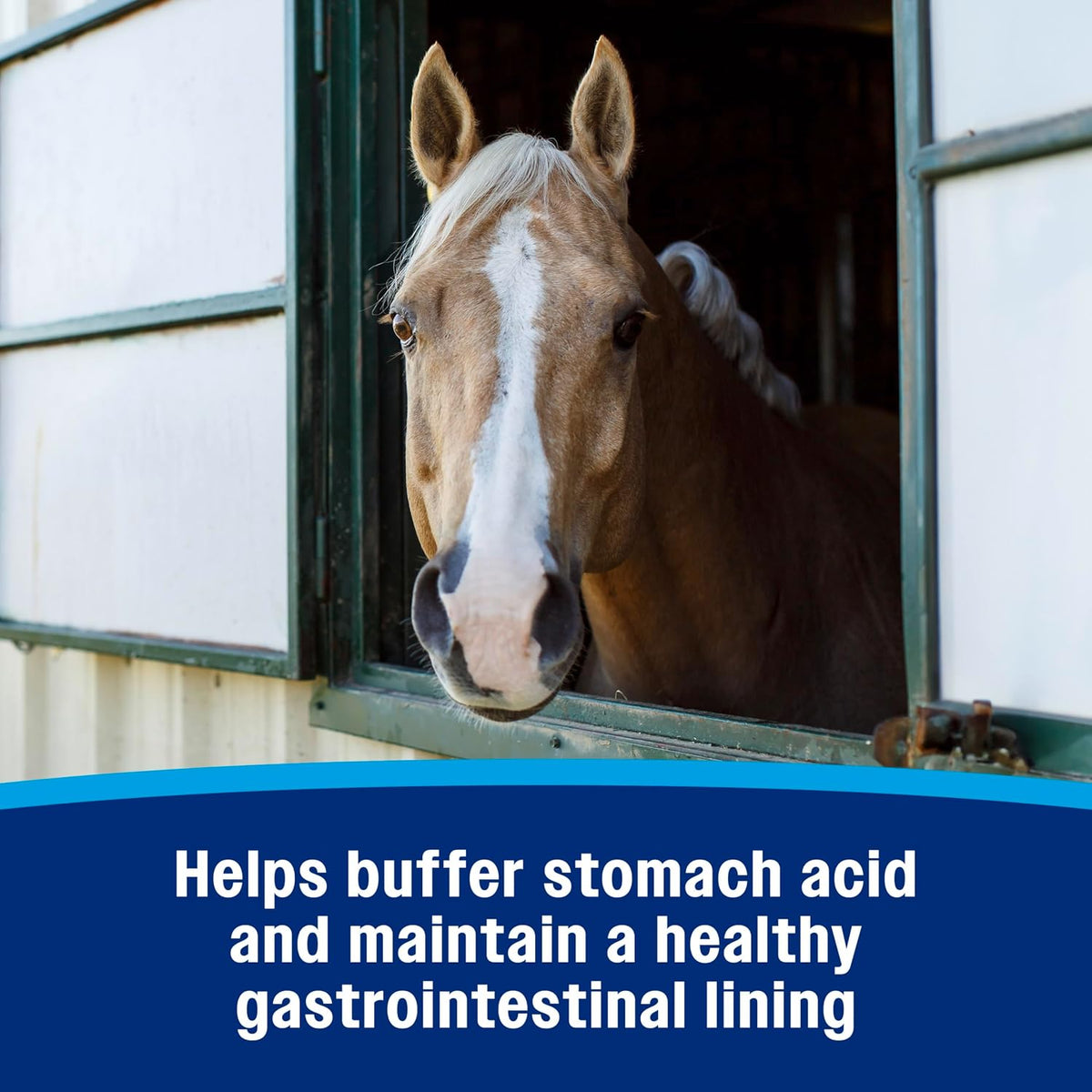 Farnam Gastric Health Pellets