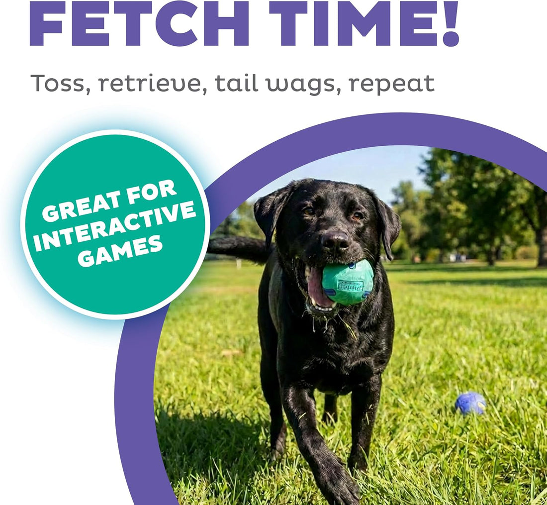 Outward Hound FlyFetch Launch-A-Ball Dog Ball Launcher Toy, 15.5"
