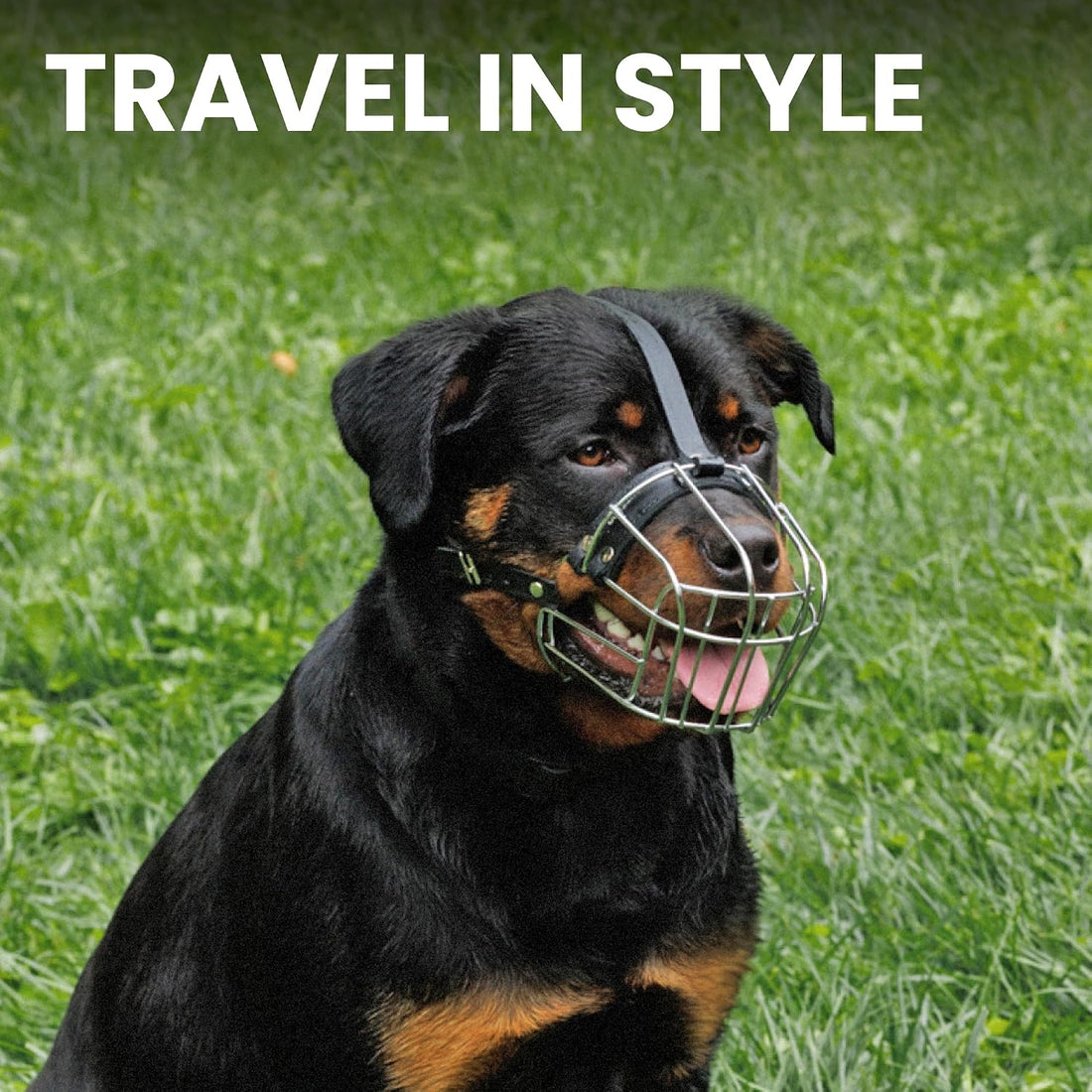 BRONZEDOG Stainless Steel Wire Basket Dog Muzzle for Rottweiler