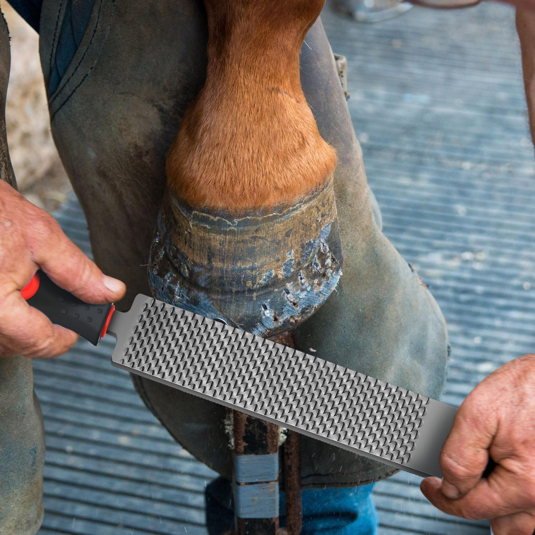 Gisafai 2 Pcs 18 and 12 Inch Rasps for Shoeing Horses with Handle