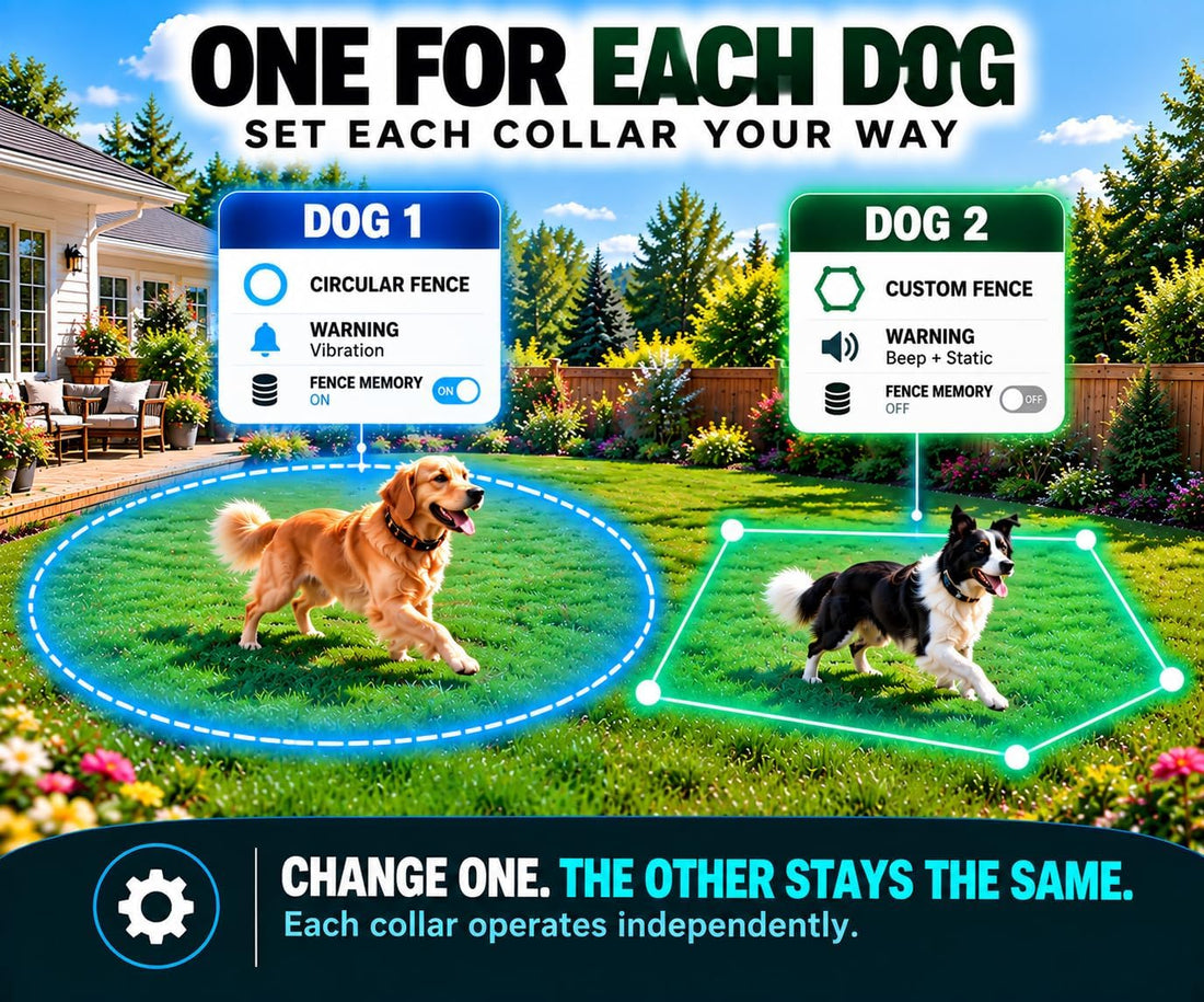 Wireless Dog Fence, GPS Dog Collar Fence System No Subscription