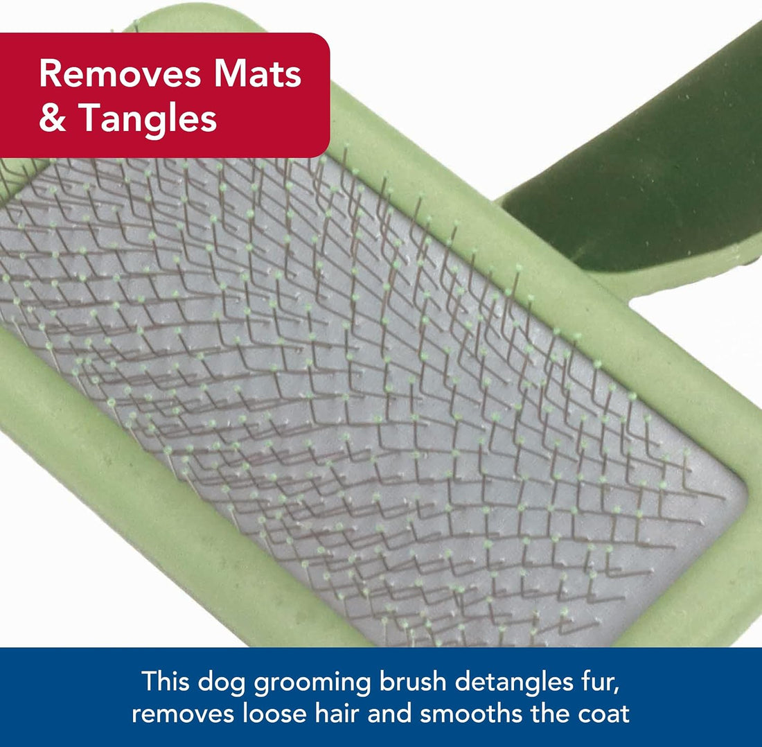 Coastal Pet Safari Dog Soft Slicker Brush