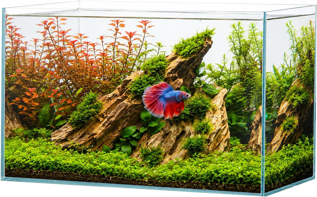 Hjarta 3 Gallons Fish Tank, Ultra-Clear Rimless Aquarium