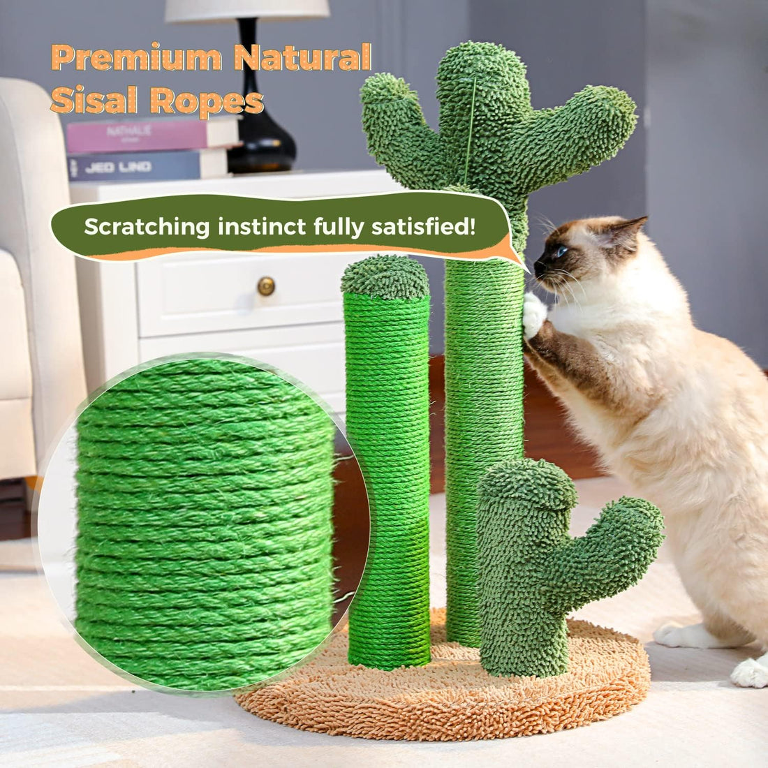 PAWZ Road Cat Scratching Post Cactus Cat Scratcher Featuring with 3