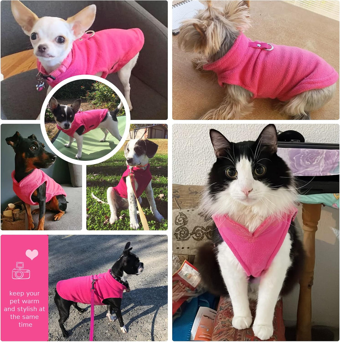PETCARE Small Dog Sweater Cat Fleece Vest Soft Dog Jacket with Leash
