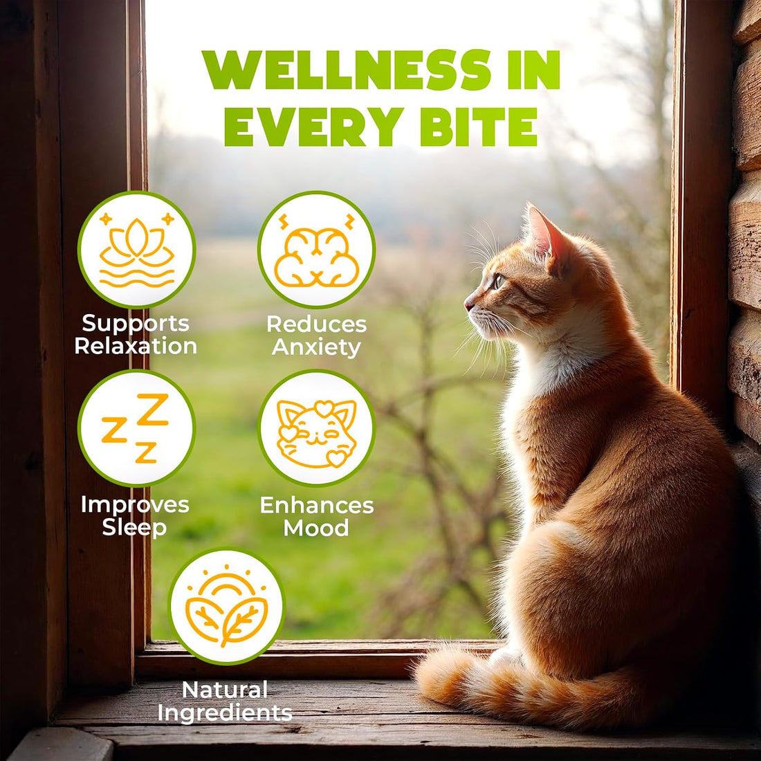 ZENO Hemp Calming Chews for Cats Anxiety 200 pcs - for Travel, Stress
