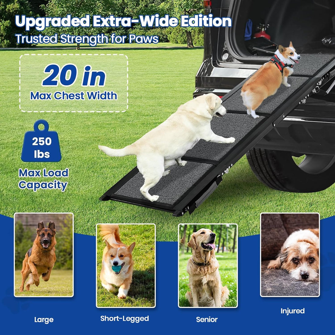 Dog Ramp for Car, Pawlify 71" x 17.3" Dog Ramps for Large Dogs