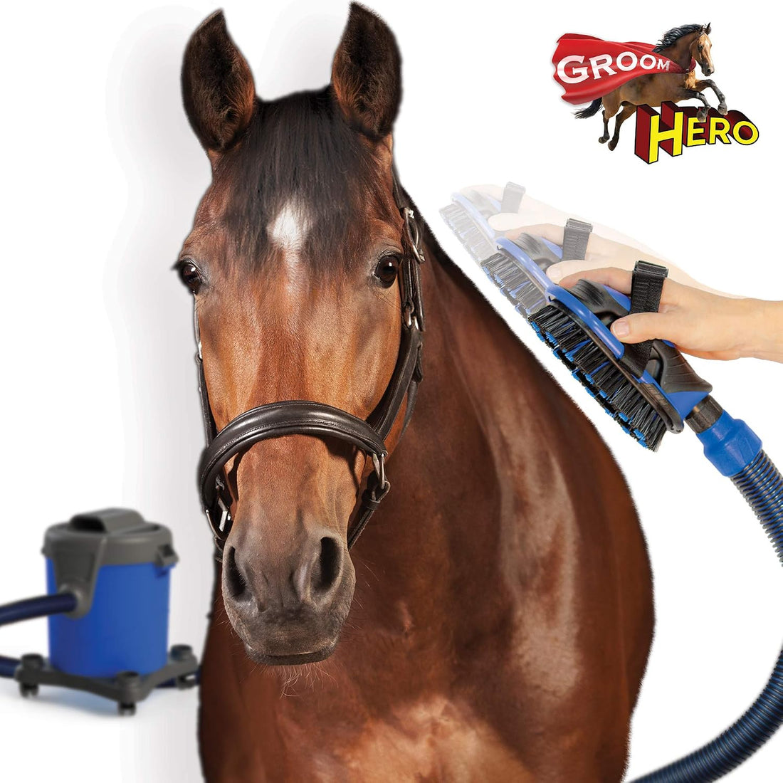 Vacuum Brush Kit for Horse Grooming – Cleaning Furniture, Carpets