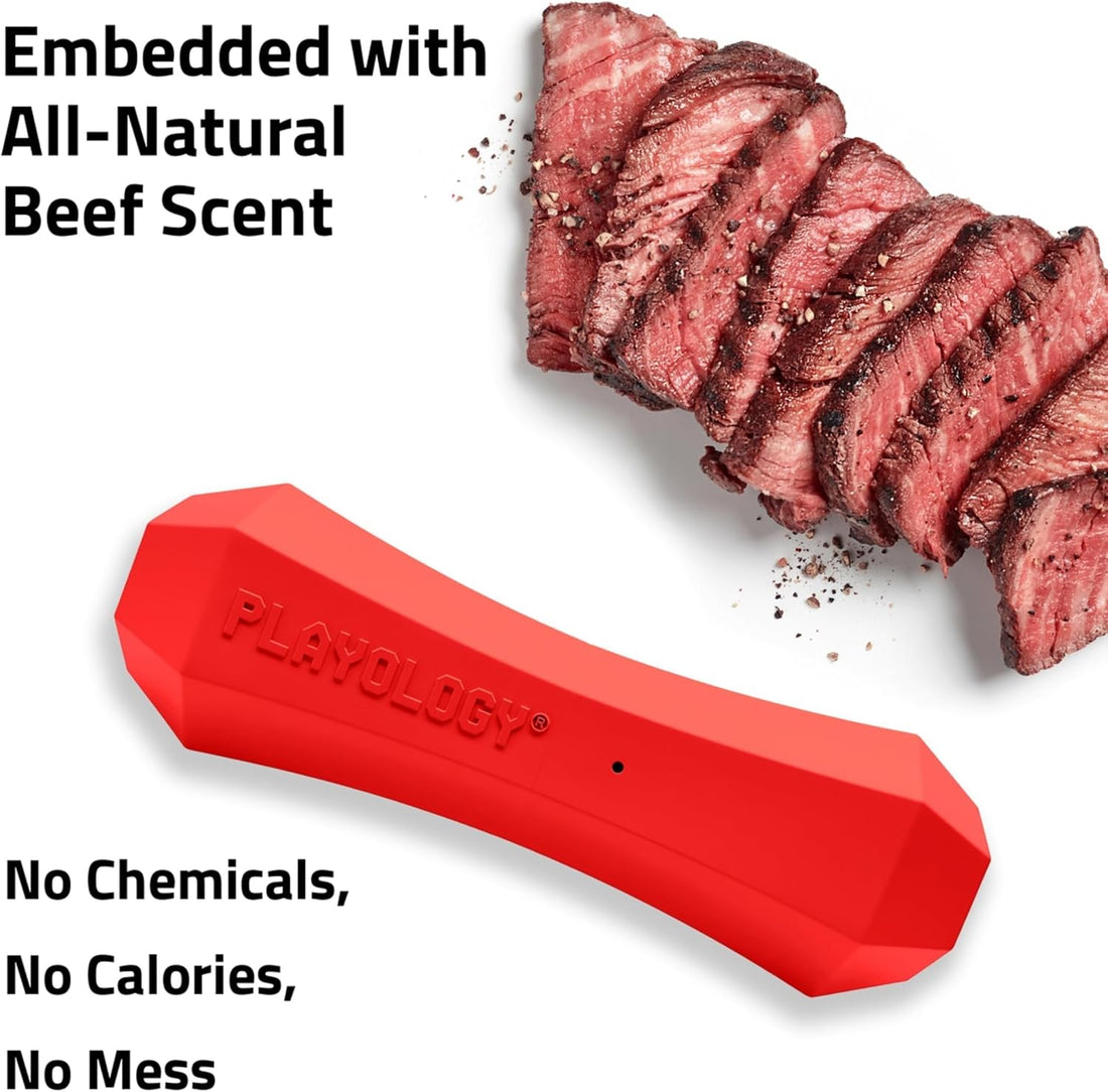 Playology Squeaky Chew Stick - Scented Dog Toy - Jumbo, Beef Scent