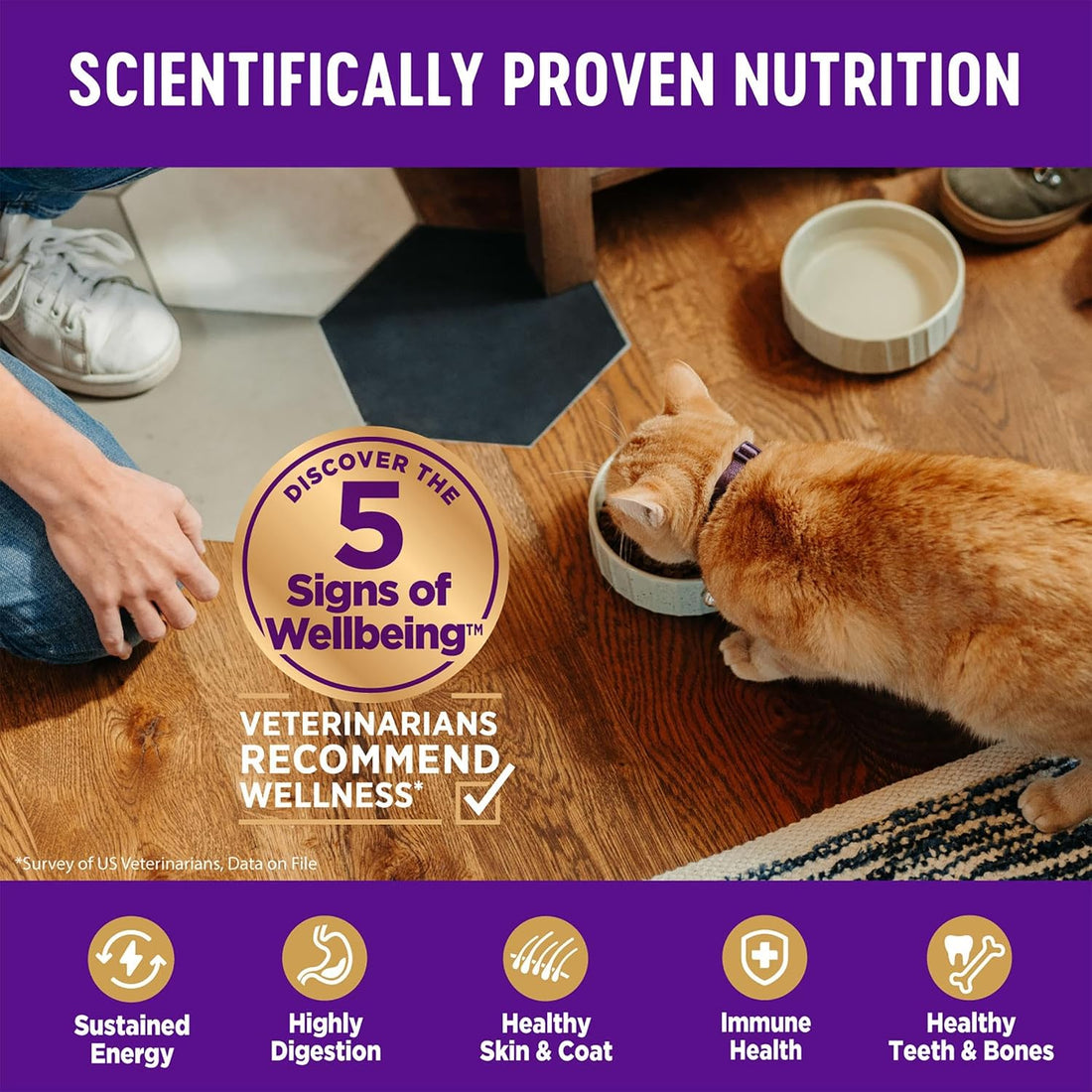 Wellness Complete Health Adult Dry Cat Food for Indoor Cats, Natural