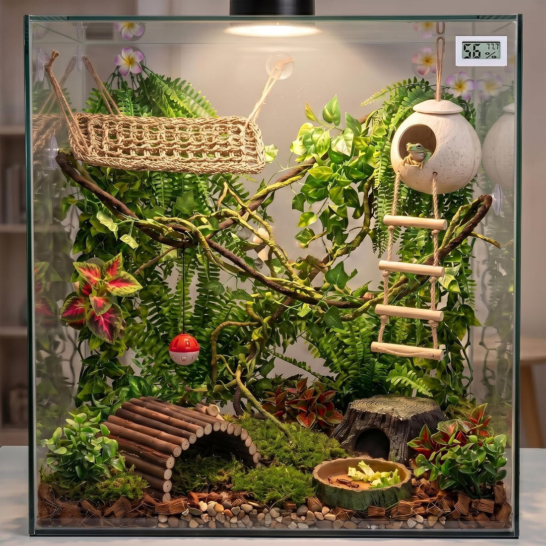 Reptile Plants for Bearded Dragon Tank Accessories