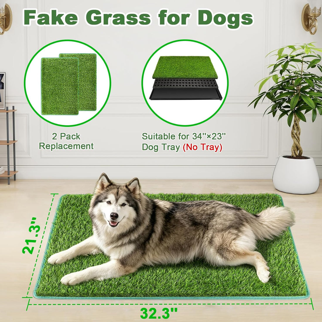Artificial Grass for Dogs Potty Training
