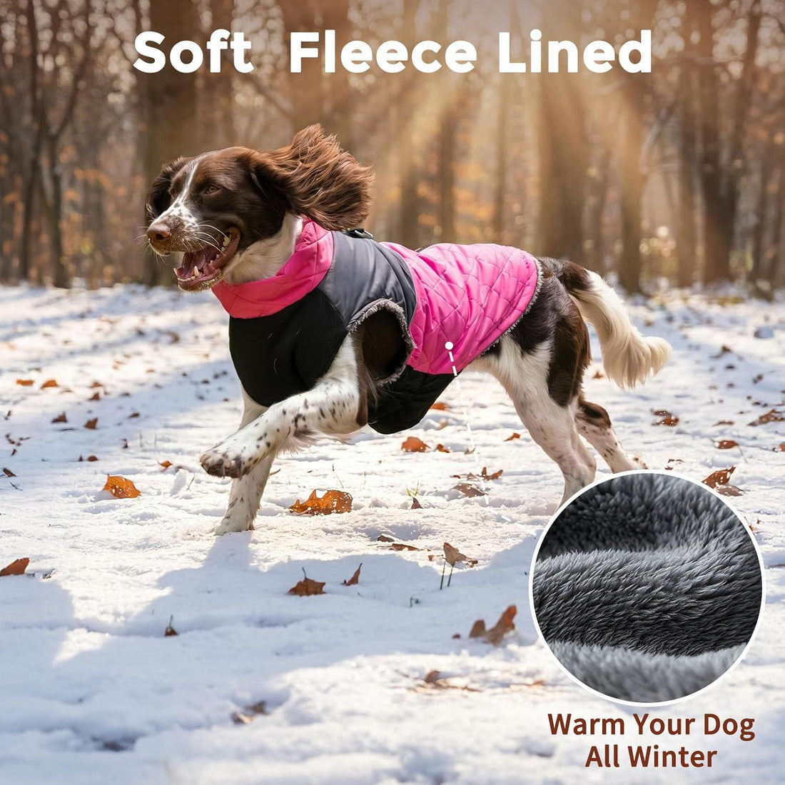 JoyDaog Winter Dog Coats for Small Dogs,Puppy Jacket