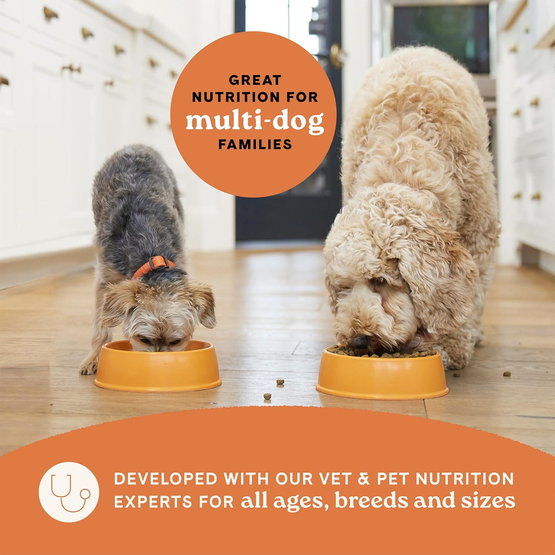 Canidae All Life Stages Multi-Protein, Chicken, Turkey, Lamb & Fish