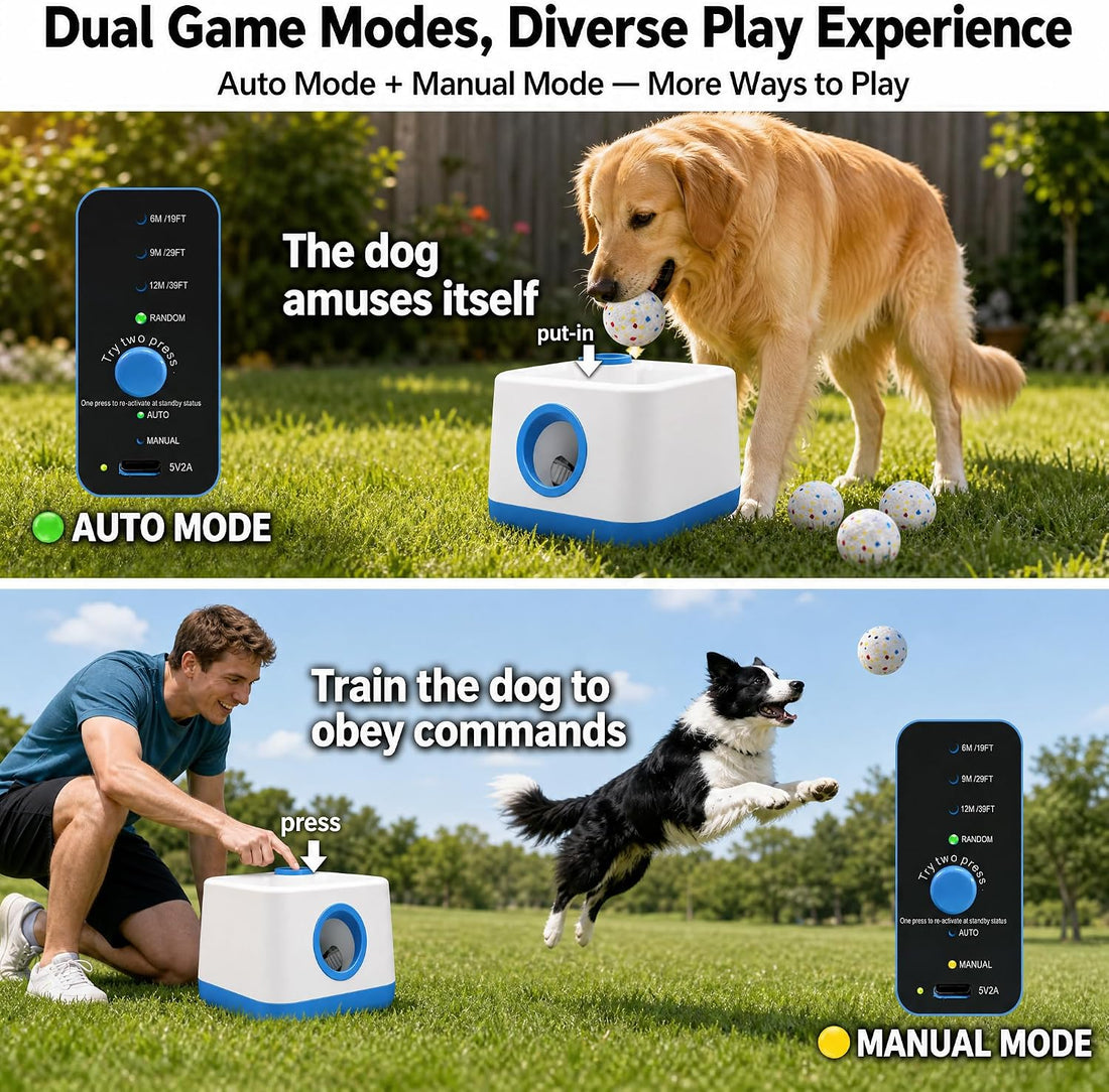Automatic Dog Ball Launcher for Small Dogs, Interactive Fetch Toy