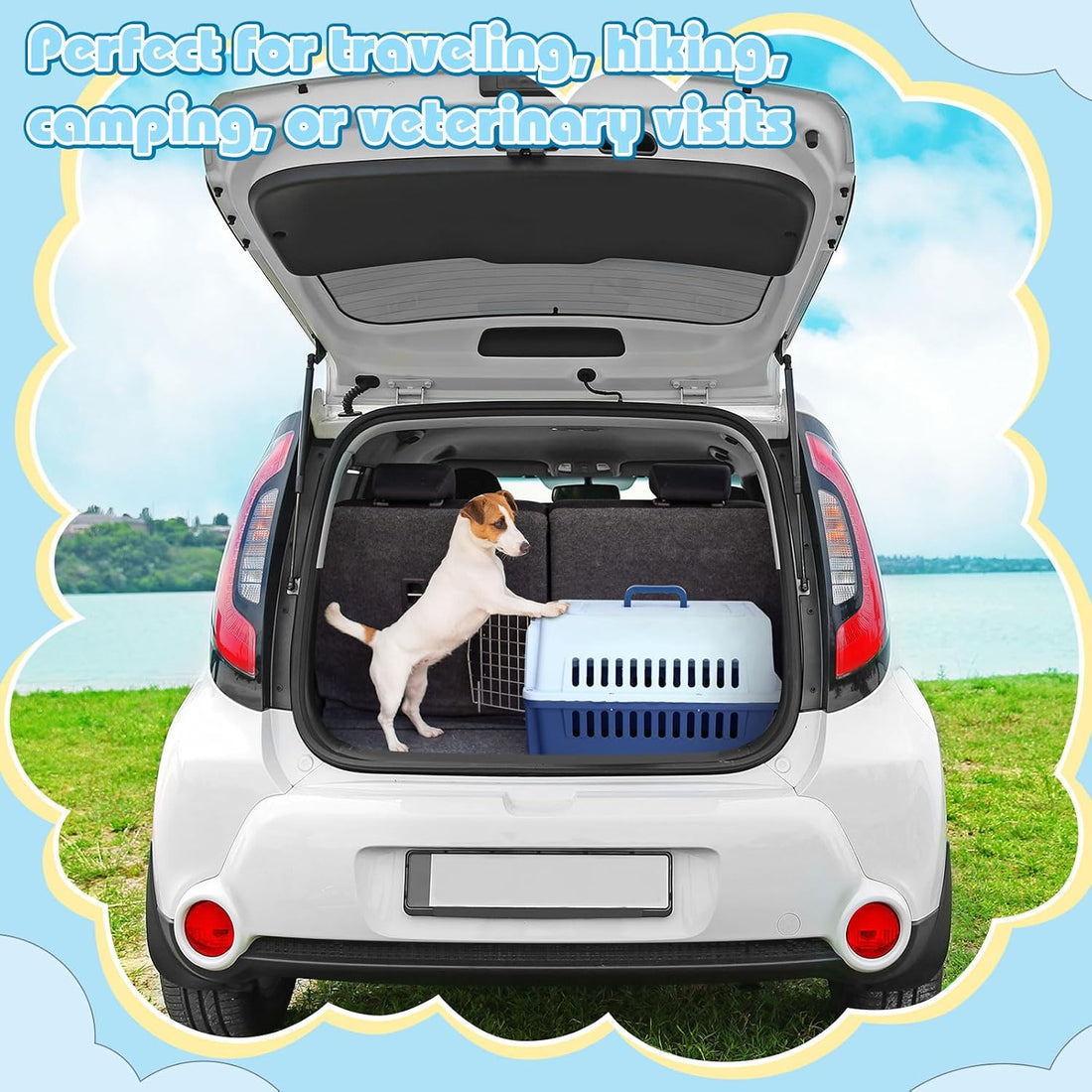 Maxdot 2 Pack 19" Hard-Sided Pet Carrier for Small Dogs and Cats