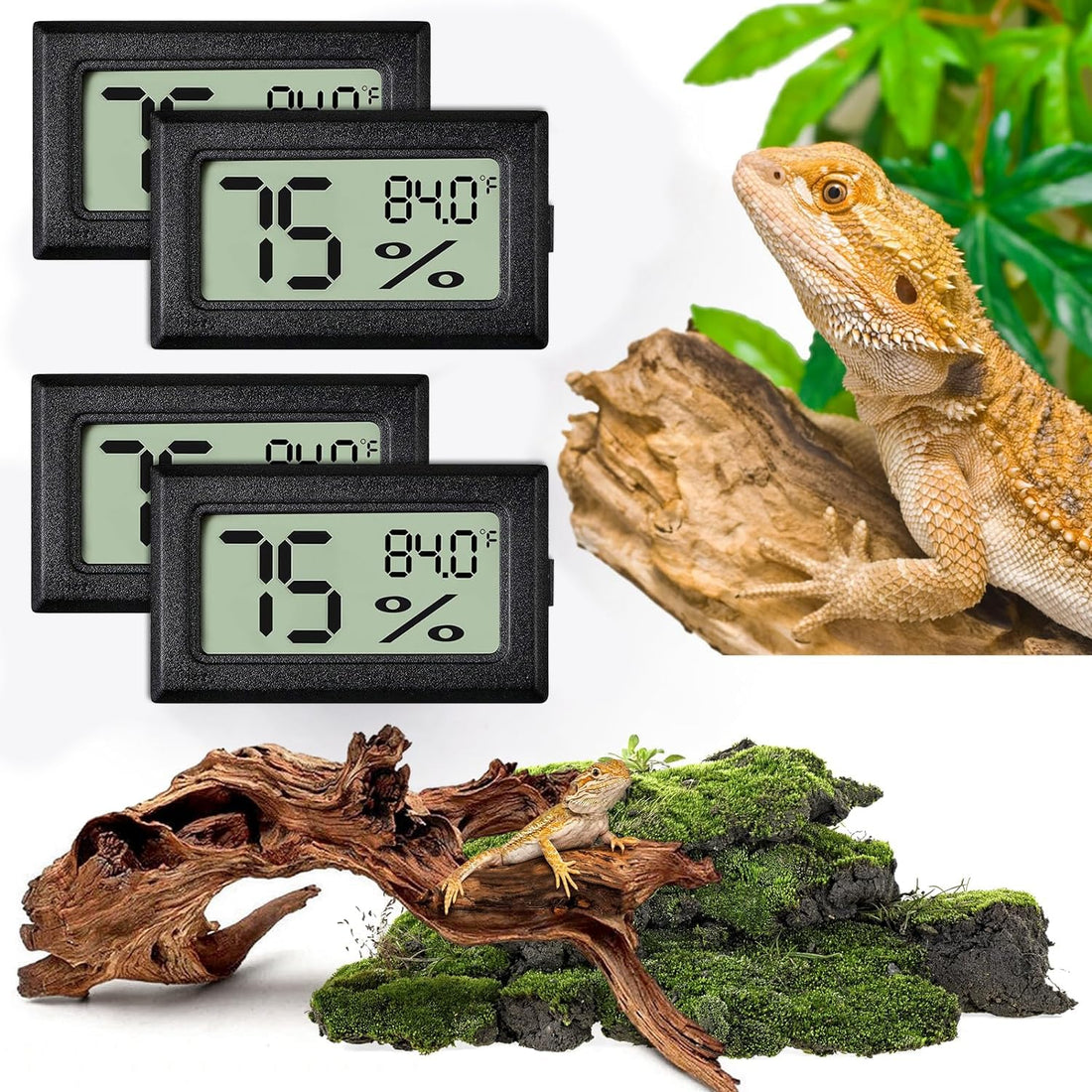 Reptile Thermometer and Humidity Gauge,2PCS Digital Hygrometer