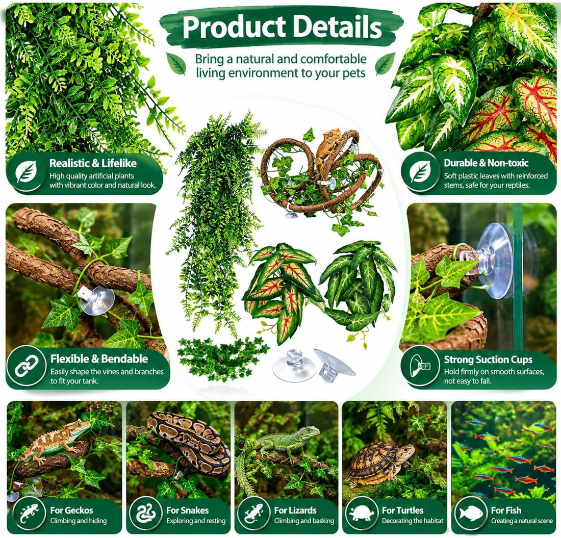 Reptile Plants for Terrarium Tank