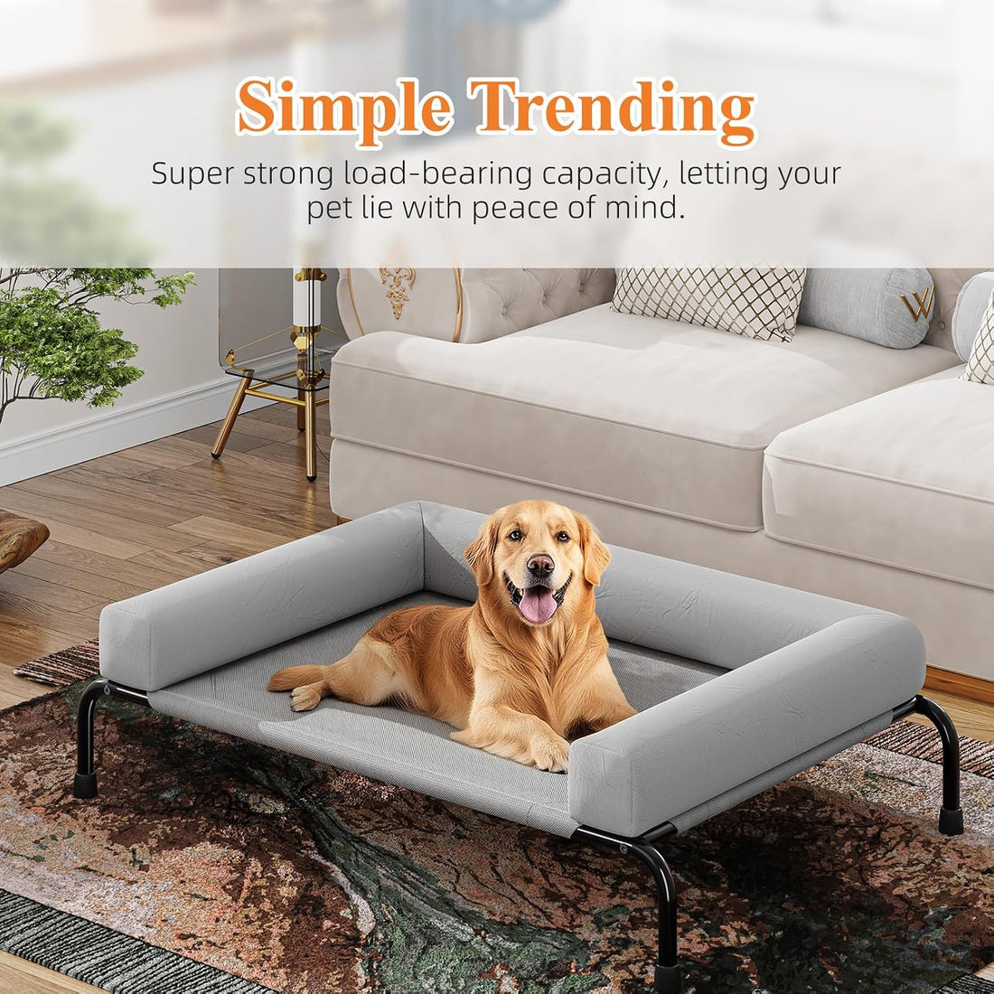 Simple Trending Elevated Dog Bed for Large Dogs with Bolsters