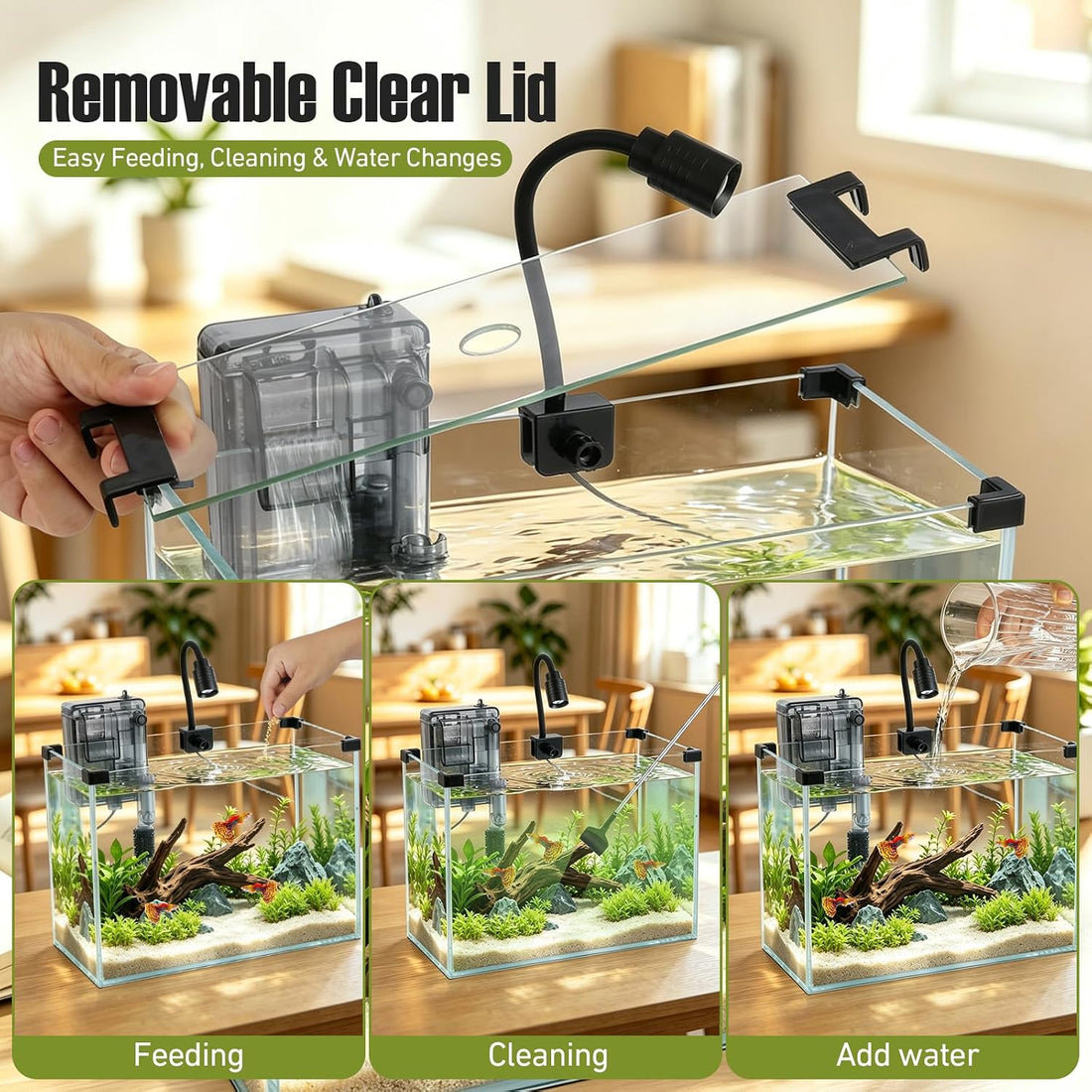 2.2 Gallon Small Glass Fish Tank Kit