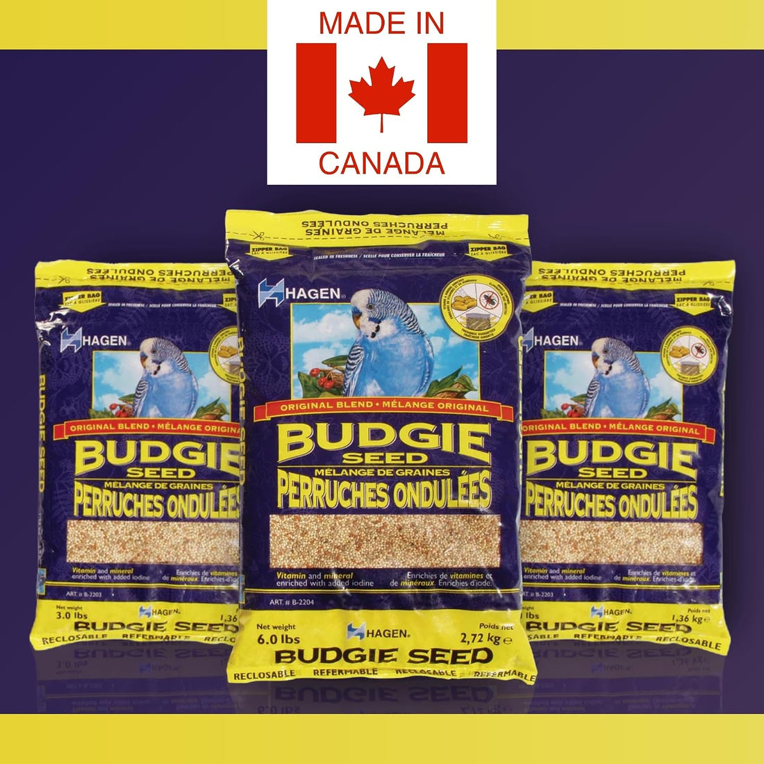 Hagen Parakeet/Budgie Staple White Millet Bird Seed – Premium Blend