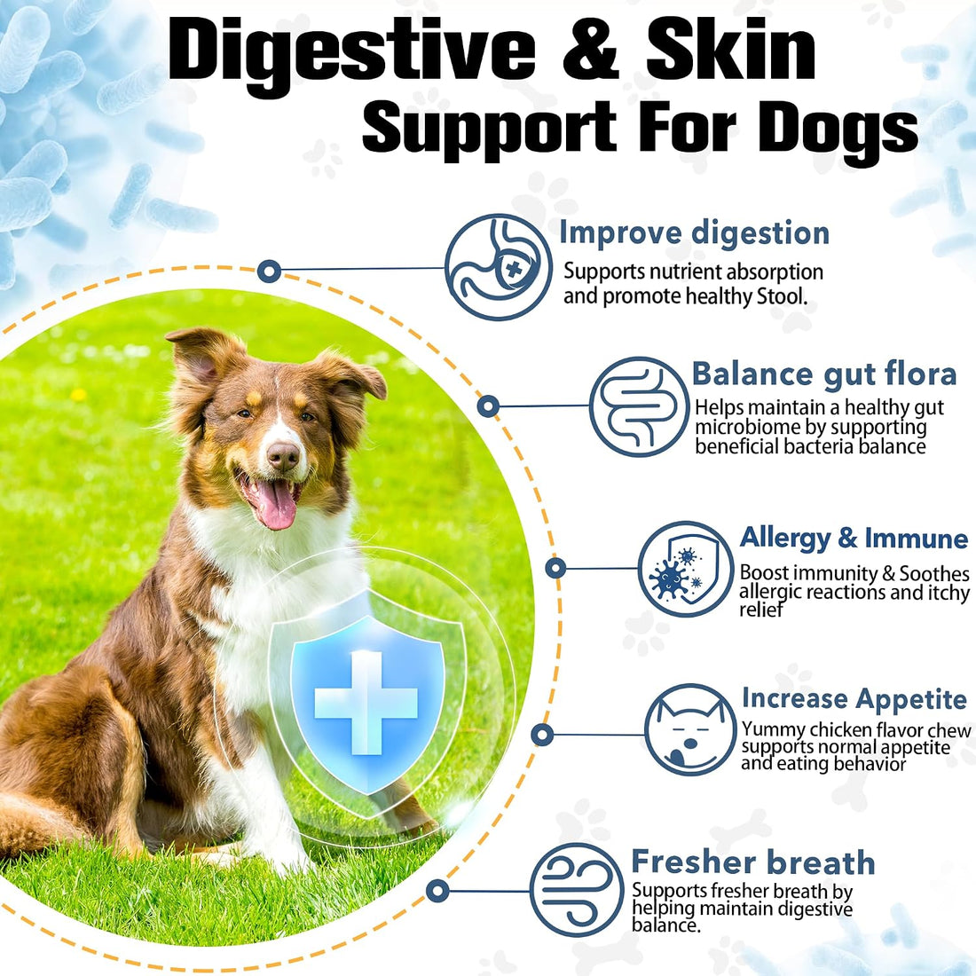 Probiotics for Dogs Digestive Health