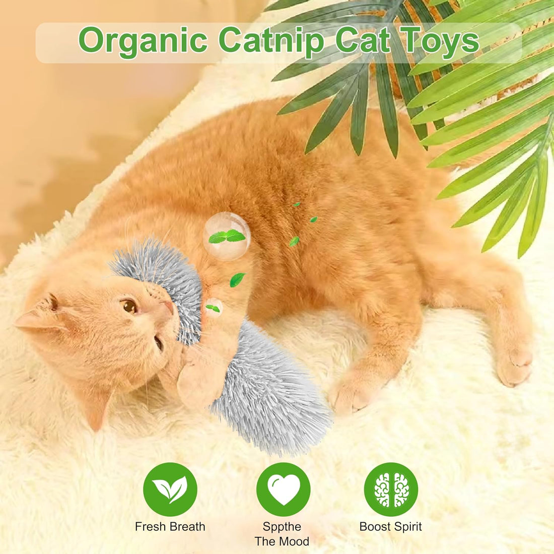 Rishoesu 3 Pcs Interactive Cat Toys Cat Pillows