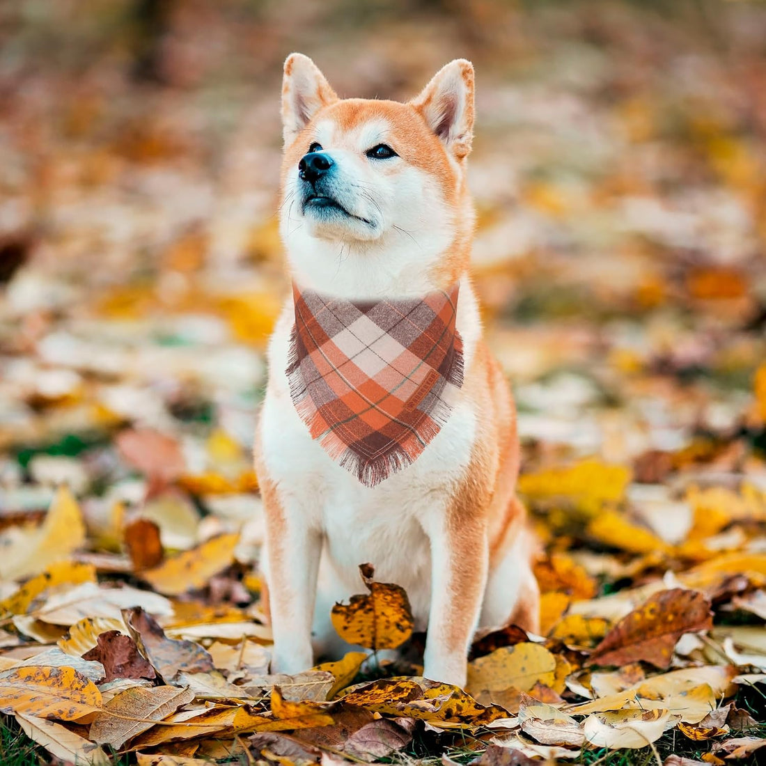 ADOGGYGO Fall Dog Bandana with Tassels Edges, Plaid Thanksgiving Scarf