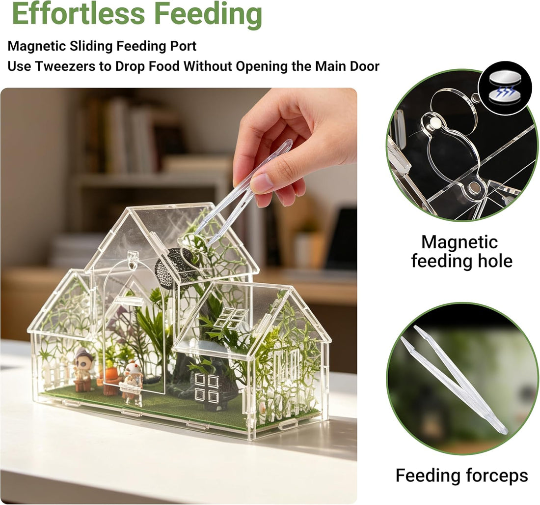 20-Piece Jumping Spider Enclosure Kit