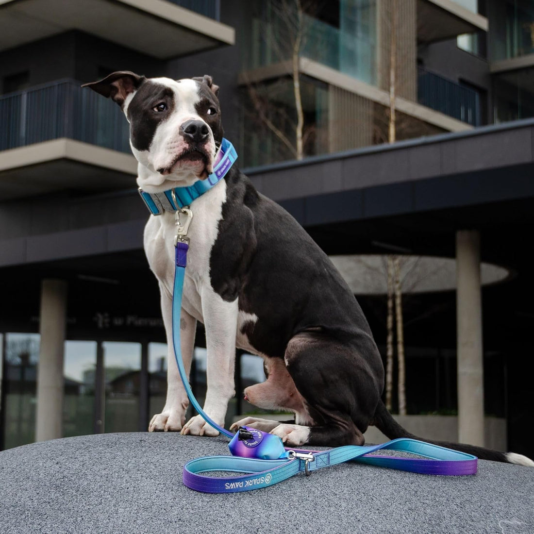 Spark Paws Premium Dog Leash & Poop Bag Set