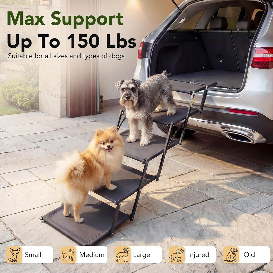 Dog Ramp for Car, Foldable Dog Stairs for Small Dogs