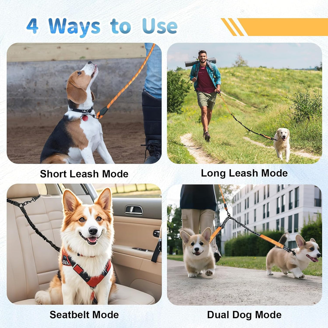 Double Dogs Leash - Removable Main Lead Rope with Splitter