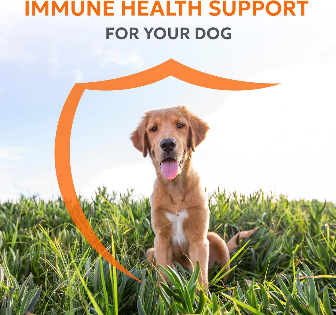 Nutramax Immune Support Supplement for Dogs, Chewable