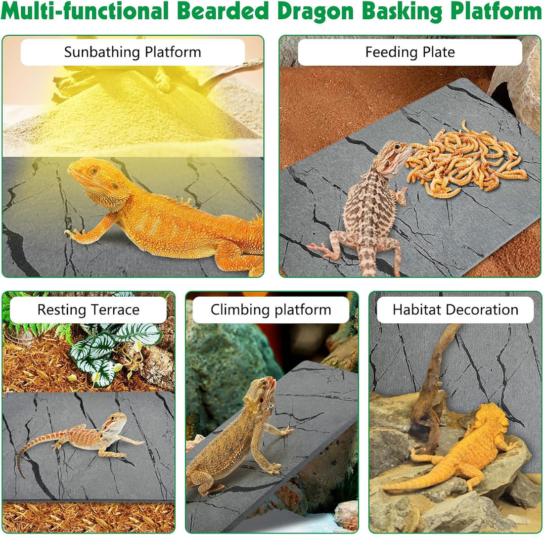 Diatomite Reptile Basking Platform Turtle Feeding Slate11.8x7.9