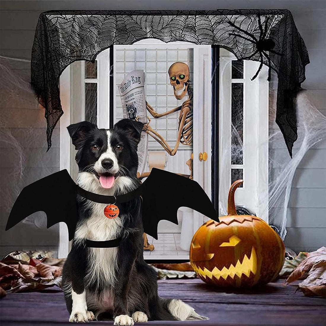 Halloween Dog Bat Wings Pet Costume with Pumpkin Bells for Halloween