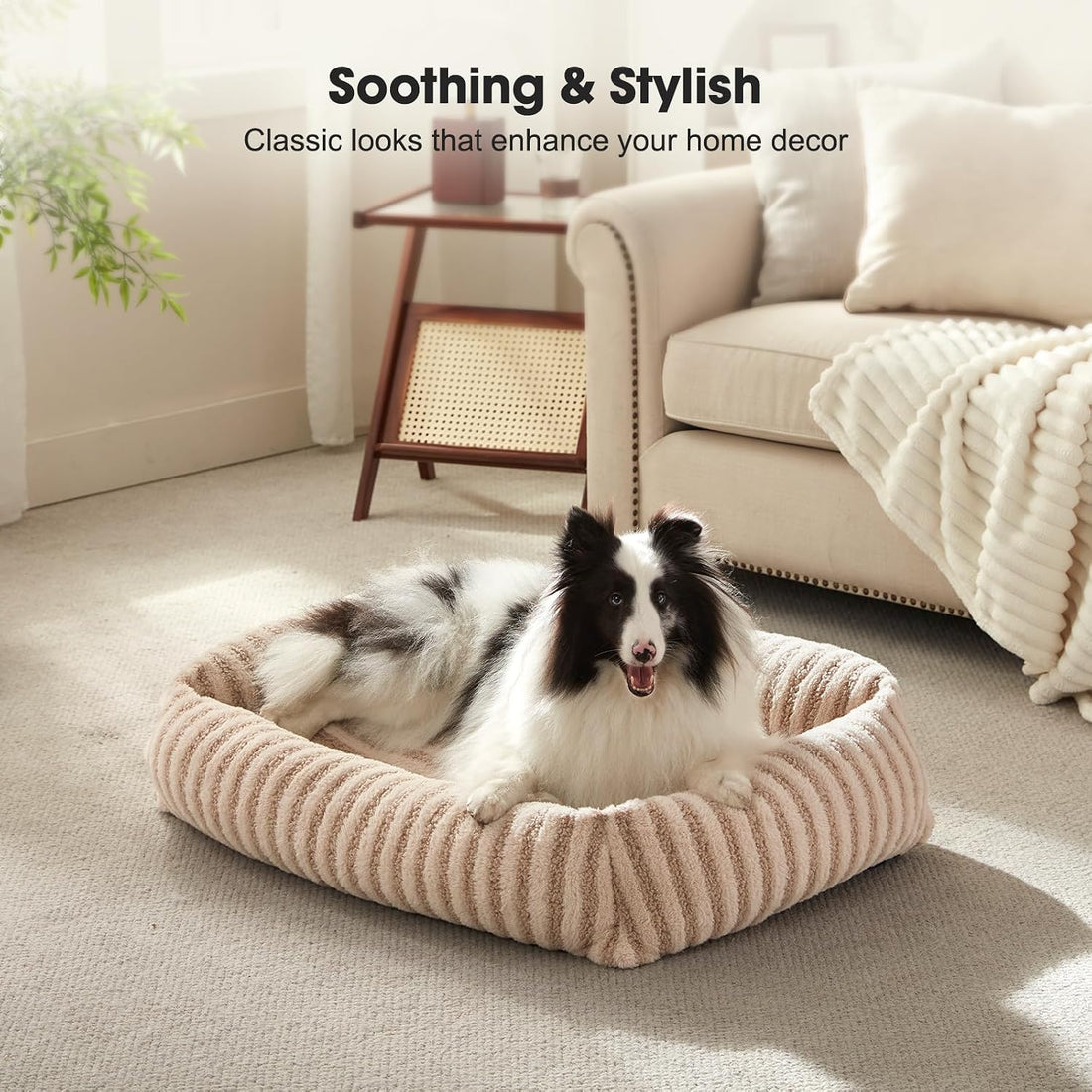 MIXJOY Dog Bed Medium Size Dog